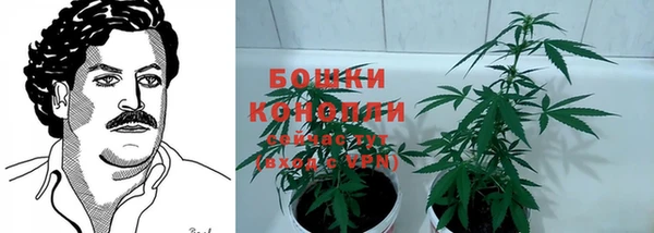 трава Заволжье