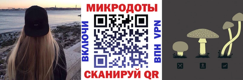 Галлюциногенные грибы Cubensis Купить Бакал